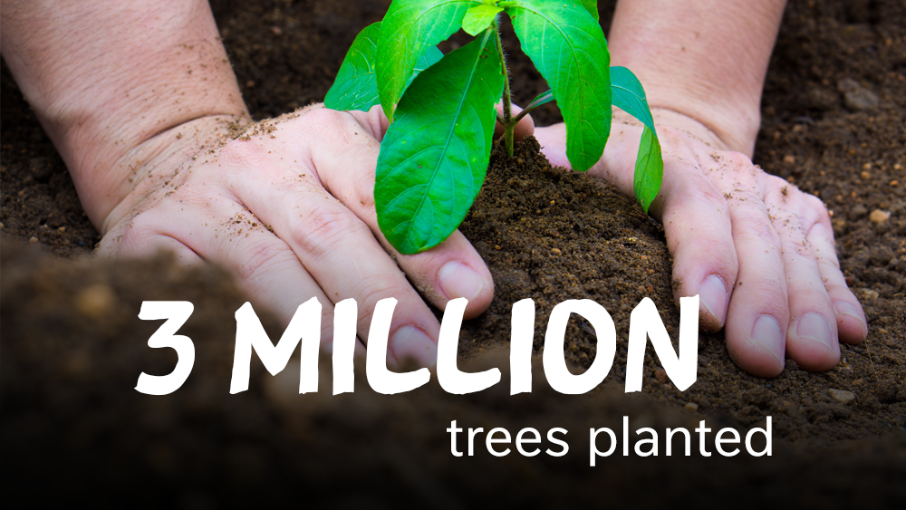 Nestlé's Reforestation Success: 3 Million Trees Planted