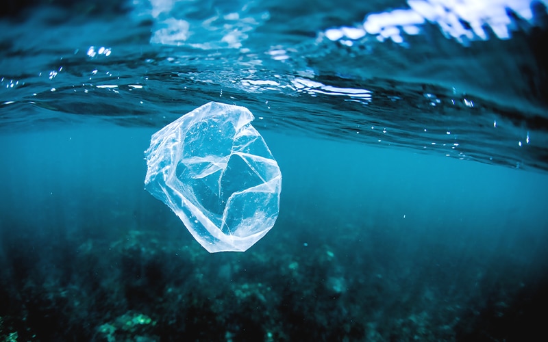 Reducing Plastic Pollution01